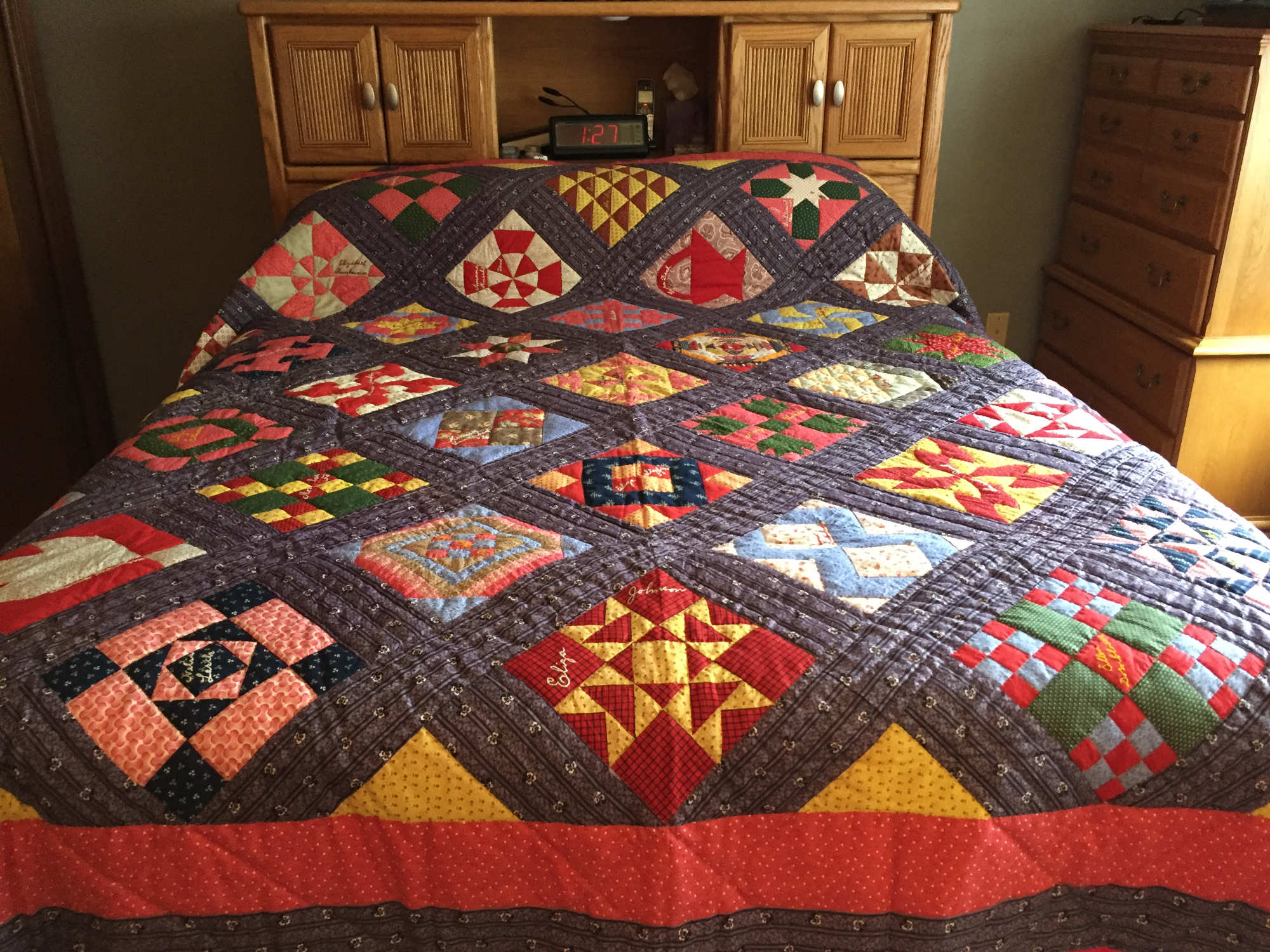 Friendships in Fabric: The Story of a Family Quilt - Hagenbuch Family
