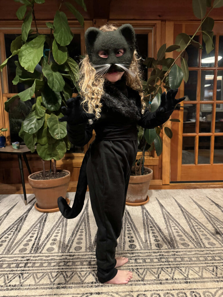 Ada Cat Costume