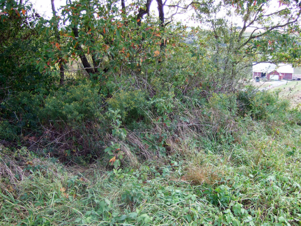 Hagenbuch Homestead Cemetery 2010