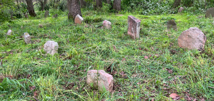 Detail Hagenbuch Homestead cemetery in 2024