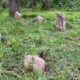 Detail Hagenbuch Homestead cemetery in 2024